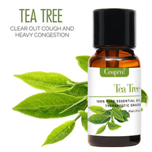 Load image into Gallery viewer, 100% PURE &amp; NATURAL ESSENTIAL OILS