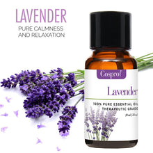 Load image into Gallery viewer, 100% PURE &amp; NATURAL ESSENTIAL OILS